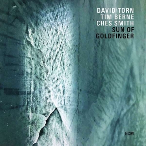 Torn David - Sun Of Goldfinger ryhmässä CD @ Bengans Skivbutik AB (3512312)
