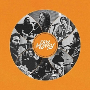 Drugdealer - Raw Honey ryhmässä VINYYLI @ Bengans Skivbutik AB (3519969)