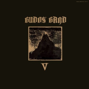 Budos Band - V ryhmässä VINYYLI @ Bengans Skivbutik AB (3519996)