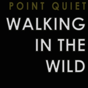 Point Quiet - Walking In The Wind ryhmässä CD @ Bengans Skivbutik AB (3522498)