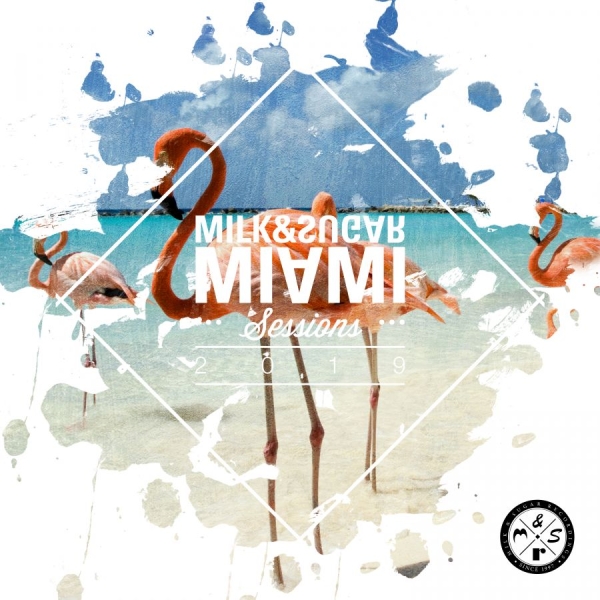Various Artists - Miami Sessions 2019 (Milk & Sugar) ryhmässä CD / Myydyimmät @ Bengans Skivbutik AB (3524299)