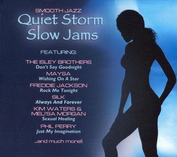 Various Artists - Quiet Storm Slow Jams ryhmässä CD / Myydyimmät @ Bengans Skivbutik AB (3529599)
