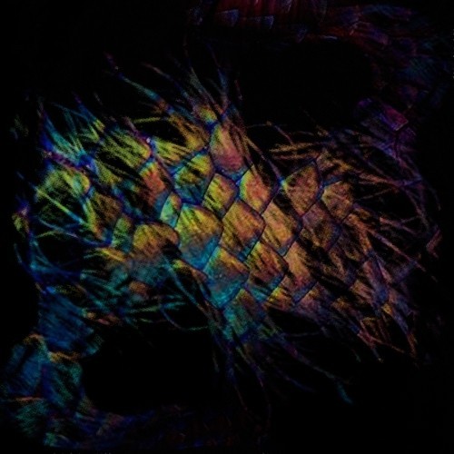 Vaura - Sables ryhmässä CD / Myydyimmät @ Bengans Skivbutik AB (3531795)