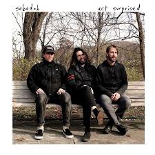 Sebadoh - Act Surprised (Col.Vinyl) ryhmässä VINYYLI @ Bengans Skivbutik AB (3533088)