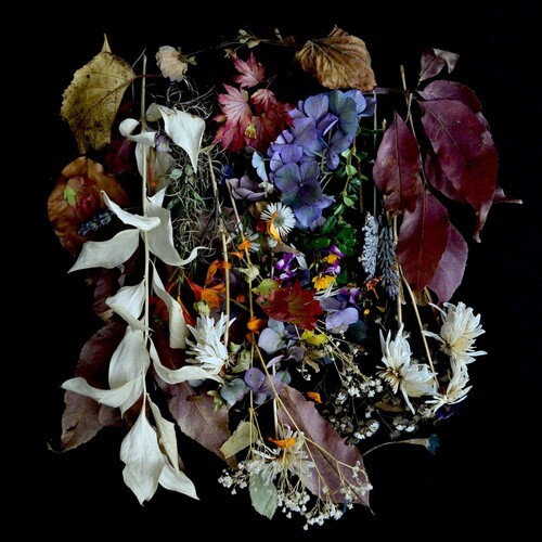 Paws - Your Church On My Bonfire ryhmässä VINYYLI / Myydyimmät @ Bengans Skivbutik AB (3544997)