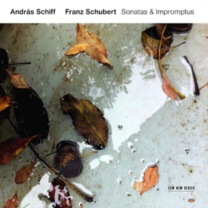 Schubert Franz - Sonatas & Impromptus ryhmässä CD @ Bengans Skivbutik AB (3546828)
