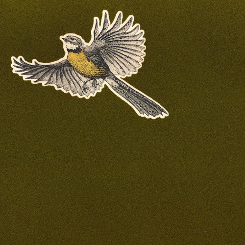 Ficino Ensemble - Winter ryhmässä CD / Rock @ Bengans Skivbutik AB (3549737)