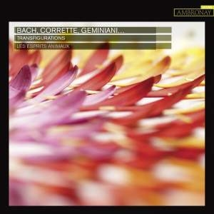 Les Esprits Animaux - Transfigurations ryhmässä CD @ Bengans Skivbutik AB (3552085)