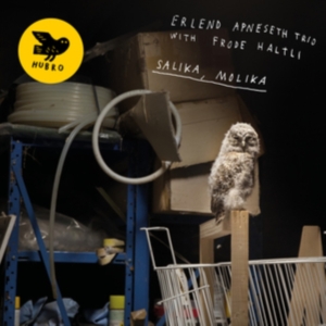 Apneseth Erlend (Trio) - Salika, Molika ryhmässä CD @ Bengans Skivbutik AB (3553441)