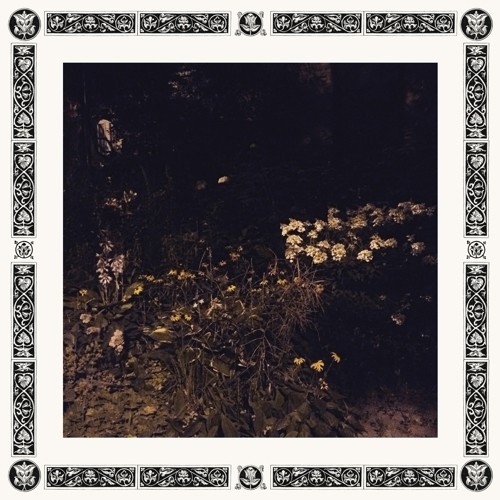 Sarah Davachi - Pale Bloom ryhmässä CD / Rock @ Bengans Skivbutik AB (3555434)
