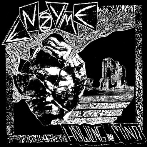 Enzyme - Howling Mind ryhmässä VINYYLI / Rock @ Bengans Skivbutik AB (3555468)