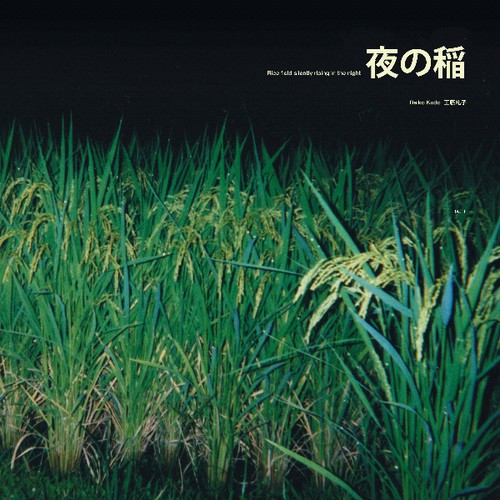 Kudo Reiko - Rice Field Silently Riping In The N ryhmässä VINYYLI / Myydyimmät @ Bengans Skivbutik AB (3565455)