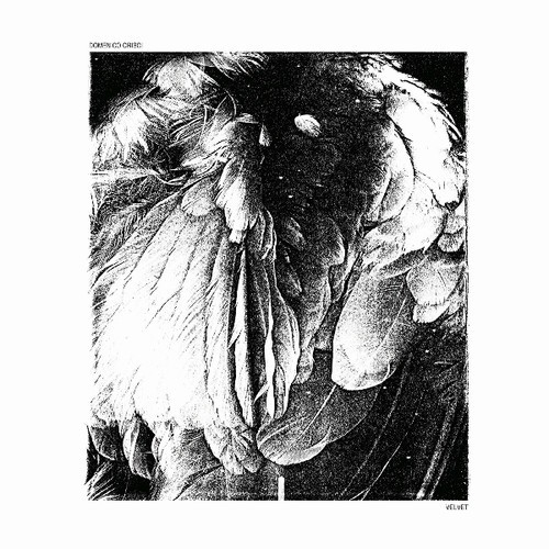 Crisci Domenico - Velvet ryhmässä VINYYLI / Pop @ Bengans Skivbutik AB (3565526)