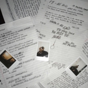 Xxxtentacion - 17 ryhmässä VINYYLI @ Bengans Skivbutik AB (3577178)