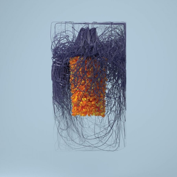 Plaid - Polymer ryhmässä VINYYLI / Myydyimmät @ Bengans Skivbutik AB (3597236)