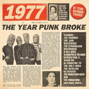 Blandade Artister - 1977 - The Year Punk Broke ryhmässä CD @ Bengans Skivbutik AB (3597257)
