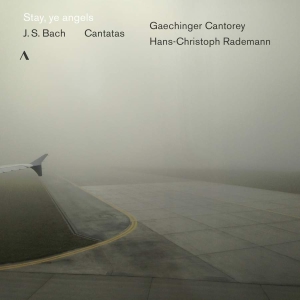 Bach J S - Stay, Ye Angels: Cantatas ryhmässä CD @ Bengans Skivbutik AB (3597441)
