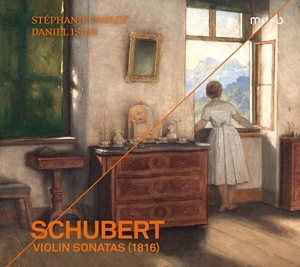 Schubert Franz - Violin Sonatas ryhmässä CD @ Bengans Skivbutik AB (3597468)