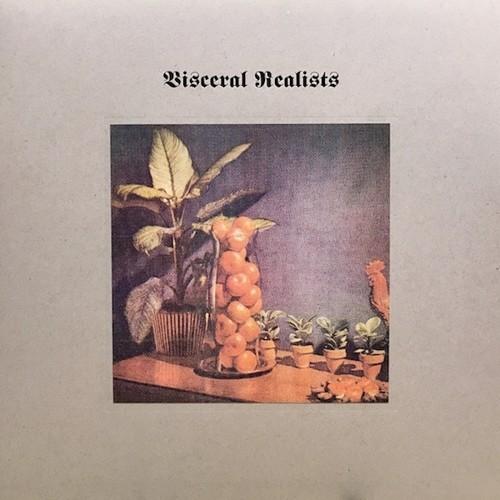 Russell Bruce & Luke Wood - Visceral Realists ryhmässä VINYYLI / Rock @ Bengans Skivbutik AB (3599425)