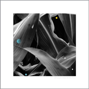 King Arthur - Changing Landscapes ryhmässä VINYYLI @ Bengans Skivbutik AB (3599463)