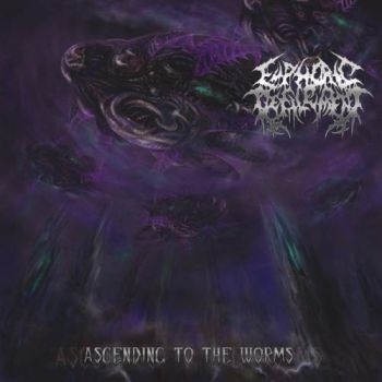 Euphoric Defilement - Ascending To The Worms ryhmässä CD / Myydyimmät @ Bengans Skivbutik AB (3636569)