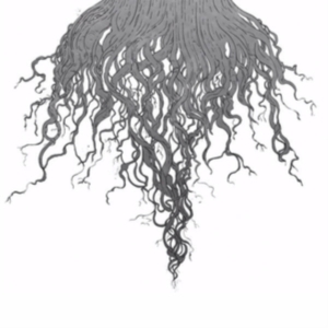 Meursault - Crow Hill ryhmässä CD @ Bengans Skivbutik AB (3639269)