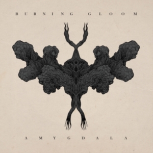 Burning Gloom - Amygdala ryhmässä VINYYLI @ Bengans Skivbutik AB (3639300)