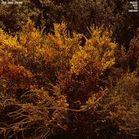 Cantu-Ledesma Jefre - Tracing Back The Radiance ryhmässä VINYYLI / Pop-Rock @ Bengans Skivbutik AB (3639863)