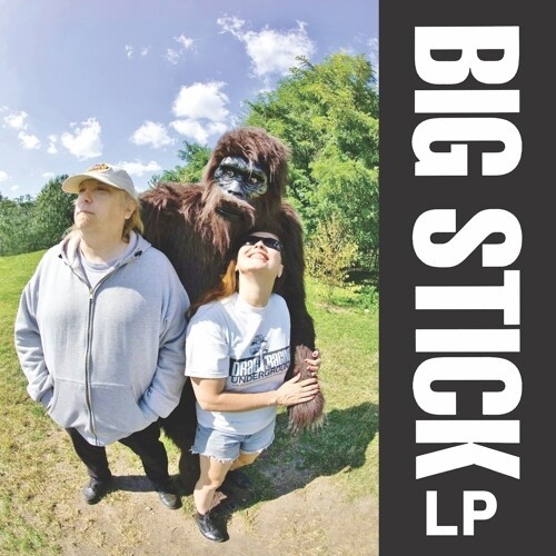 Big Stick - Lp ryhmässä VINYYLI / Myydyimmät @ Bengans Skivbutik AB (3644912)
