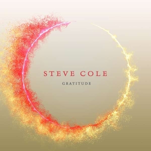 Cole Steve - Gratitude ryhmässä CD @ Bengans Skivbutik AB (3645238)
