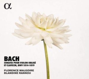 Bach J S - Sonatas For Violin And Harpsichord, ryhmässä CD @ Bengans Skivbutik AB (3651144)
