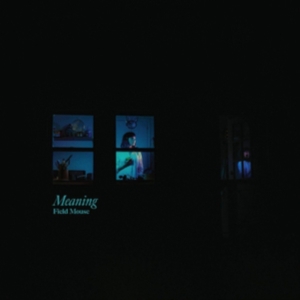 Field Mouse - Meaning ryhmässä VINYYLI @ Bengans Skivbutik AB (3653996)