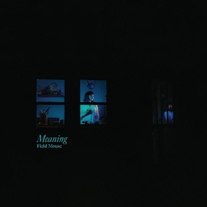 Field Mouse - Meaning ryhmässä CD @ Bengans Skivbutik AB (3653997)