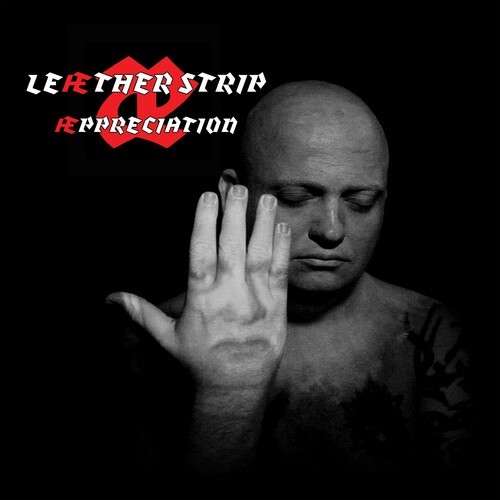 Leather Strip - Aeppreciation (Red) ryhmässä VINYYLI / Rock @ Bengans Skivbutik AB (3654137)