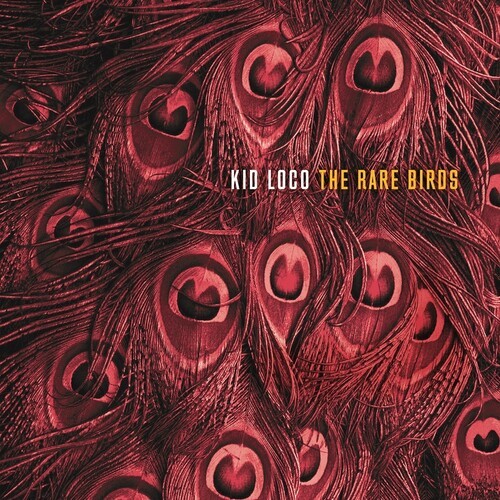 Kid Loco - Rare Birds ryhmässä VINYYLI / Dans/Techno @ Bengans Skivbutik AB (3656214)
