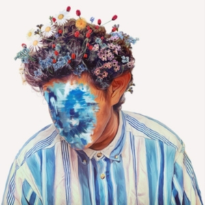 Hobo Johnson - The Fall Of Hobo Johnson ryhmässä CD @ Bengans Skivbutik AB (3658280)