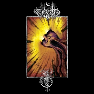 Void Omnia / Insanity Cult - Split ryhmässä VINYYLI @ Bengans Skivbutik AB (3659123)
