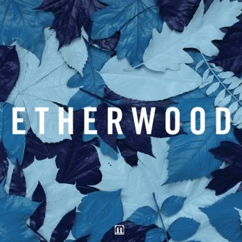 Etherwood - Blue Leaves ryhmässä CD / Myydyimmät @ Bengans Skivbutik AB (3659197)