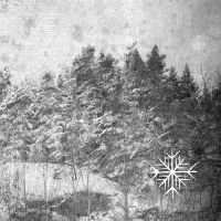 Nocturnalia - Iii Winter Cd ryhmässä -Start CD @ Bengans Skivbutik AB (3665901)