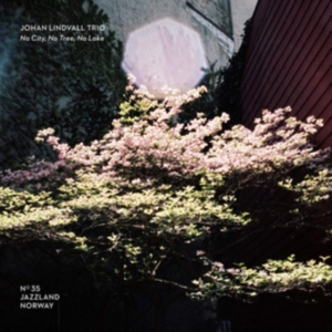 Lindvall Johan (Trio) - No City, No Tree, No Lake ryhmässä CD @ Bengans Skivbutik AB (3669277)