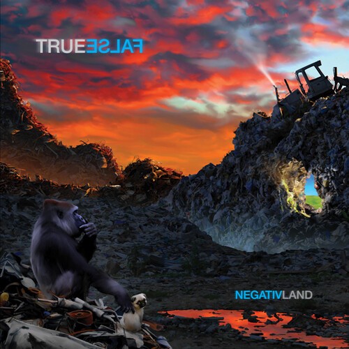 Negativland - True False ryhmässä CD / Rock @ Bengans Skivbutik AB (3669286)