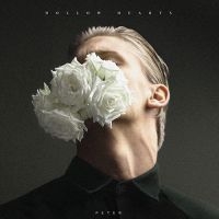 Hollow Hearts - Peter ryhmässä VINYYLI / Pop-Rock @ Bengans Skivbutik AB (3670216)
