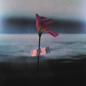 Samson Will - Paralanguage (Clear Vinyl) ryhmässä VINYYLI @ Bengans Skivbutik AB (3672881)