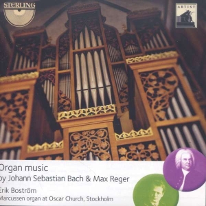 Bach / Reger - Organ Music ryhmässä CD @ Bengans Skivbutik AB (3674733)