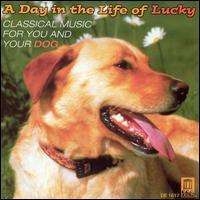 Various - A Day In The Life Of Lucky ryhmässä CD / Myydyimmät @ Bengans Skivbutik AB (3677297)