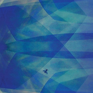 Baptista Cyro - Bluefly ryhmässä CD @ Bengans Skivbutik AB (3681471)