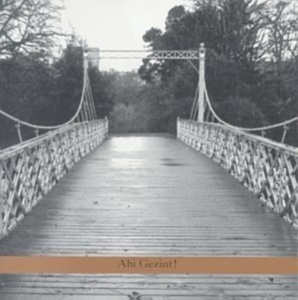 Psamim - Abi Gezint! ryhmässä CD / Elektroniskt,Pop-Rock @ Bengans Skivbutik AB (3681491)