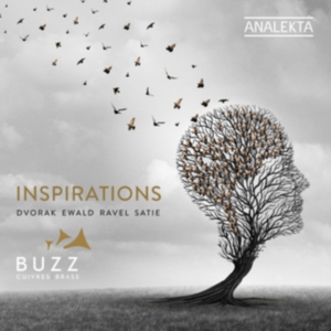 Dvorak Antonin Ewald Victor Rav - Inspirations ryhmässä CD @ Bengans Skivbutik AB (3681736)