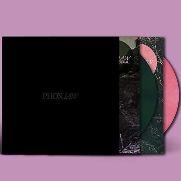 PHOXJAW - Goodbye Dinosaur/A Playgropund For ryhmässä VINYYLI / Rock @ Bengans Skivbutik AB (3690405)
