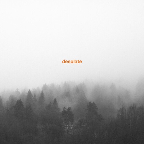 Desolate - Exceptionalism ryhmässä VINYYLI / Myydyimmät @ Bengans Skivbutik AB (3691682)